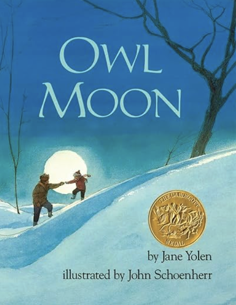 Owl Book book cover