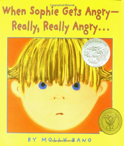 When Sophie Gets Angry—Really, Really Angry book cover